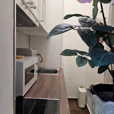 דירה Vansvel Boutique 12 *